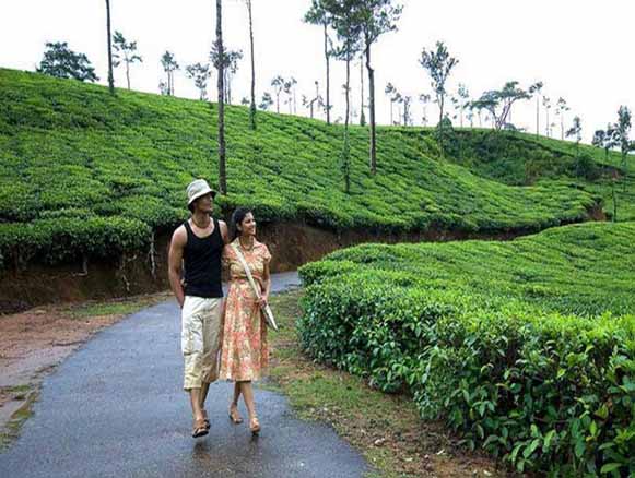 Ooty Tour Packages for Couple